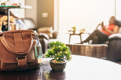 Close-up of potted plant with purse on table in cafe