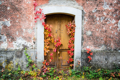 Closed door of old building