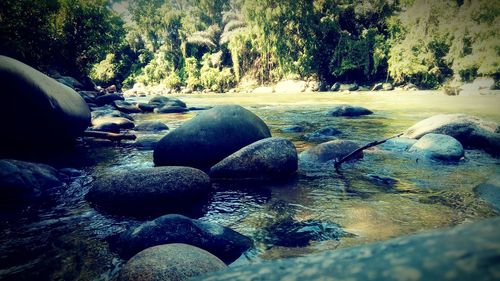 Surface level of rocks by river in forest