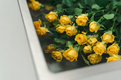 A bouquet of yellow garden roses in the kitchen sink.