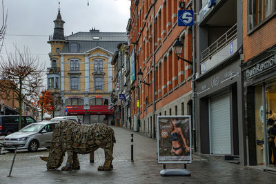 Dog on street amidst buildings in city