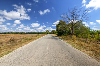 Country road in the countryside