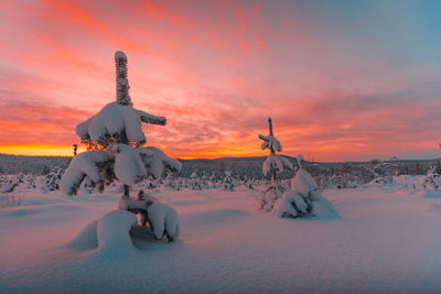 Scenic view of snow landscape against sky during sunset