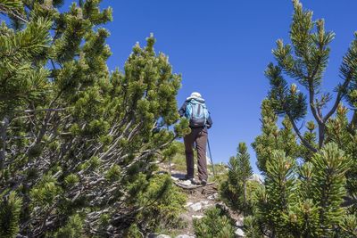 Rear view of woman amidst plants against sky