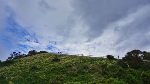 Trees on landscape against sky