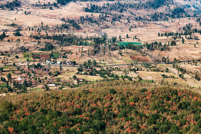 High angle view of trees on field