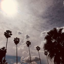 Low angle view of palm trees against sky