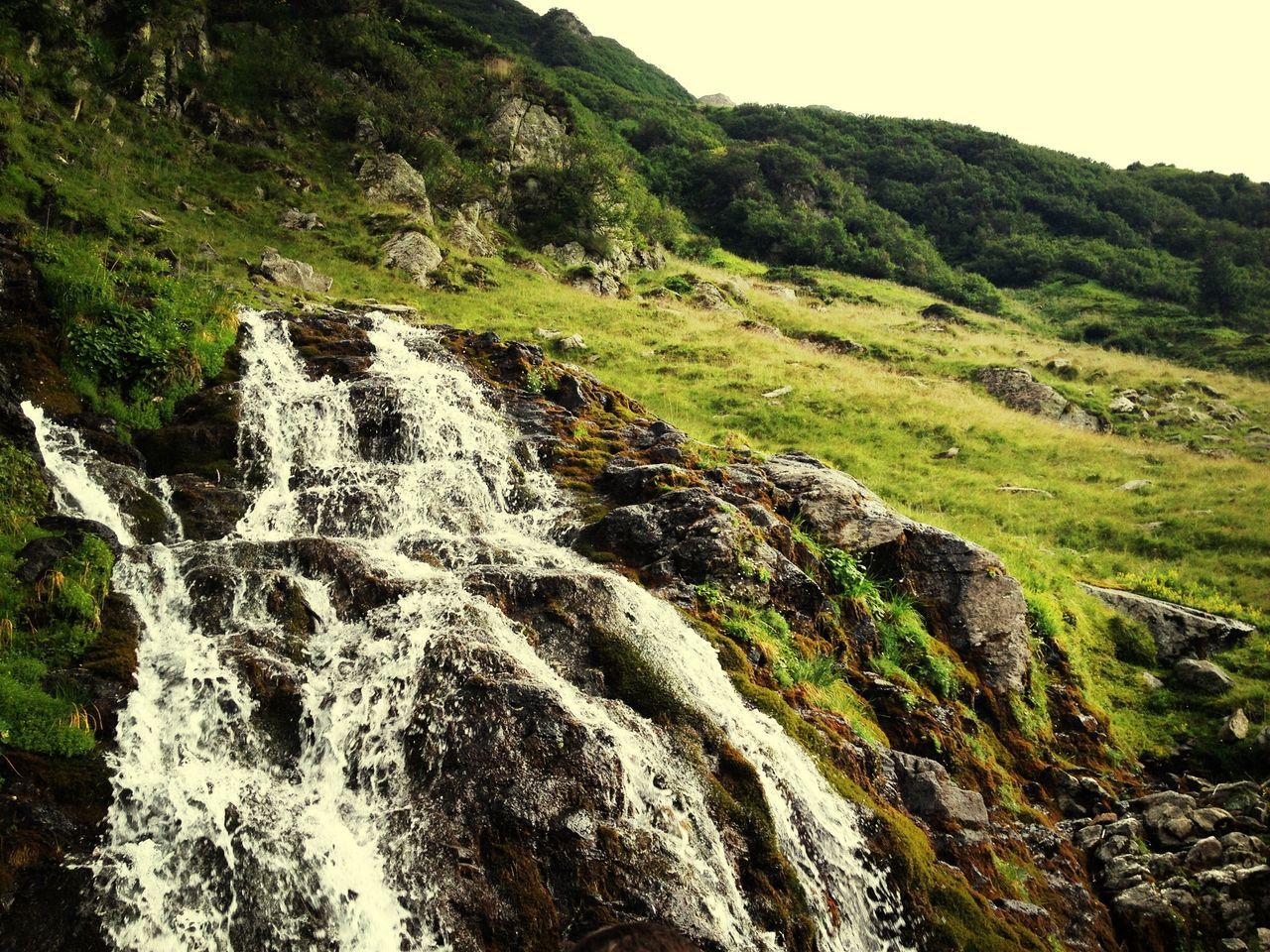 scenics, tranquil scene, beauty in nature, mountain, tranquility, nature, green color, landscape, non-urban scene, stream, tree, rock - object, forest, idyllic, rock formation, grass, water, growth, day, outdoors