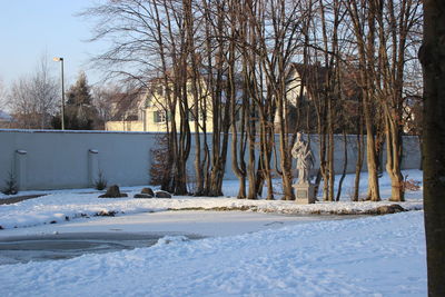 Snow covered trees