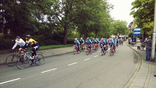 People on bicycle against trees