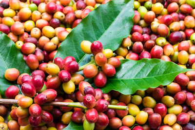 Close-up of fresh fruits