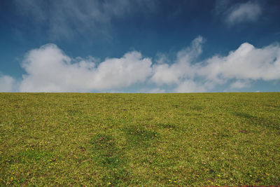 Scenic view of field against blue sky with clouds near bedruthan steps