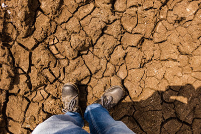 Low section of person standing on cracked land