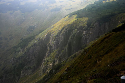 Scenic view of green landscape