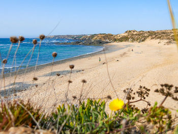 Scenic view of beach against clear sky