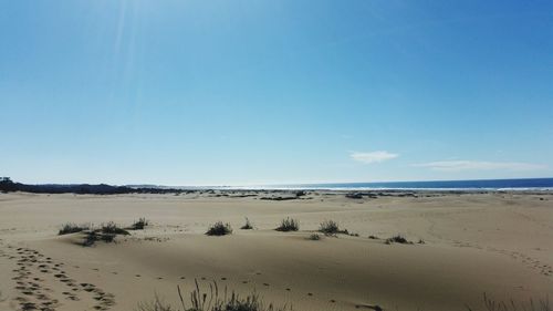 Scenic view of sea against blue sky