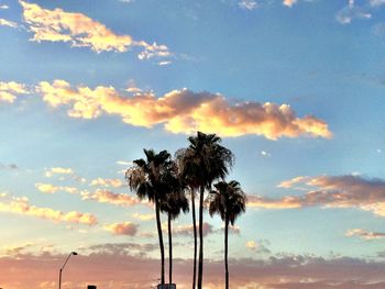 Silhouette of palm trees at sunset