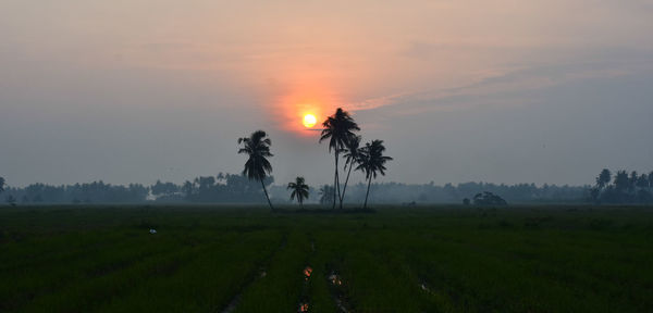 Scenic view of field against sky during sunset