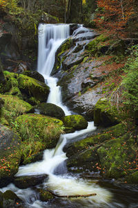 Scenic view of waterfall in forest