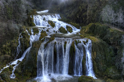 Scenic view of waterfall in forest