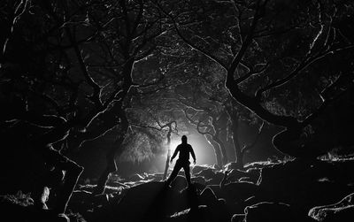 Silhouette man standing by tree in forest at night