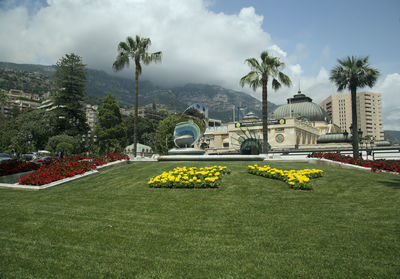 Scenic view of flowering plants against cloudy sky