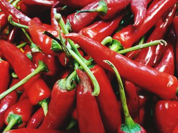 Close-up of red chili peppers