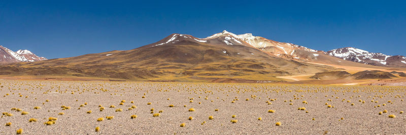 Scenic view of snowcapped mountains against clear sky