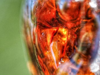 Detail shot of orange