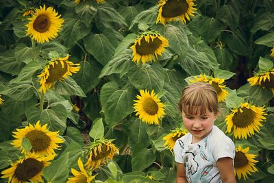 Girl against sunflowers