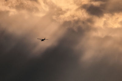 Low angle view of airplane flying in sky