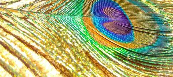 Full frame shot of colorful fabric