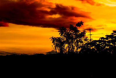 Silhouette trees against sky during sunset