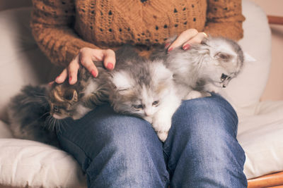 Midsection of woman with cat relaxing on bed