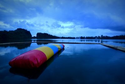 Lotus floating on lake against blue sky