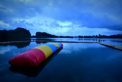 Lotus floating on lake against blue sky