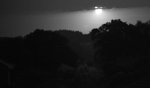 Silhouette trees in forest against sky at night