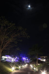night