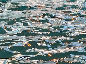 High angle view of leaves floating on water