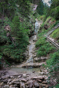 Stream flowing through rocks in forest