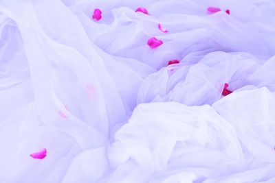 Close-up of pink petals on bed