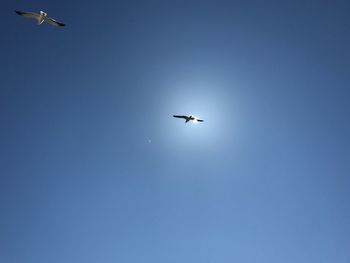 Low angle view of airplane flying in clear blue sky