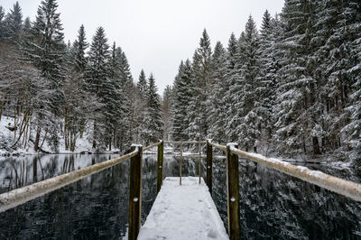 Bridge over river against trees