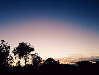 Silhouette of trees against sky at sunset