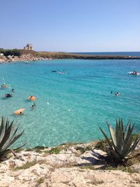 High angle view of swimming in sea