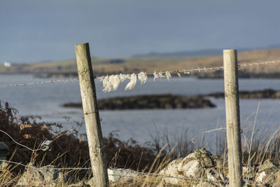 Close-up of wooden post in winter