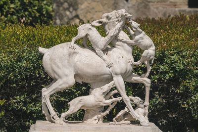 Close-up of statue