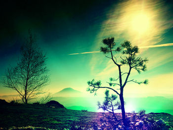 Silhouette tree on landscape against sky at sunset