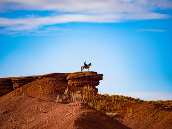 Low angle view of man with horse on rock against sky