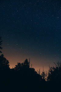 Low angle view of silhouette trees against sky at night